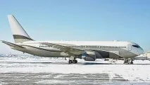 Тушки в «Боїнгах» тушки