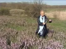 Трава оман застосування оман застосування трава