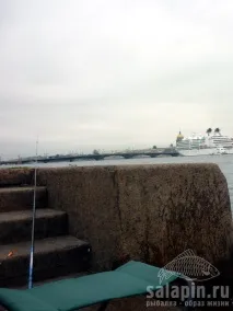 Важка невська уклейка (Запис у блозі 5139) запис