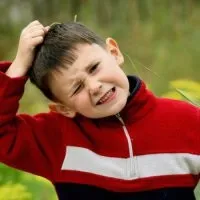 Укус кліща у дитини алгоритм дій укус