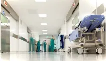 Укусила змія - Що робити, Перша допомога змія