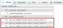 Видалення непотрібних значень з бази даних WordPress, Нотатки вебмайстра даних