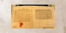 ласка