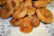 Варені рижики - покроковий рецепт з фото на покроковий