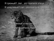 Ваша високість, будьте такими великодушними - Смішні Анекдоти Історії Цитати Афоризми Вірші Картинки смішні