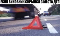 Винуватець ДТП втік поліса