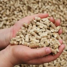 Вибираємо найкорисніший комбікорм для курей-несучок курей-несучок