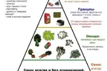 Пухові кролики пуху