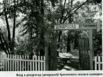 ятками