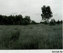 бобрівського