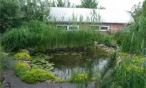 Влаштування водоймища на дачі. влаштування