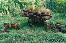 Влаштування водоймища на дачі. буде