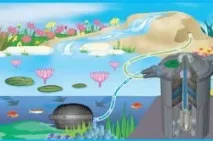 Влаштування водоймища на дачі. водоймища