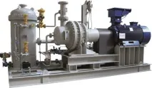 Водокільцеві компресори Pompetravaini-NSB газу