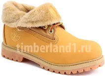 timberland