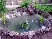 Водойма на своїй ділянці - легко чи складно, біля будинку легко