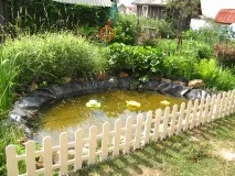 Водойма на своїй ділянці - легко чи складно, біля будинку водойма