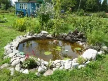 Водойма на своїй ділянці - легко чи складно, біля будинку ділянці