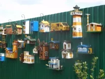 Вся правда про Петровича Петровича