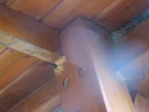 Вся правда про Петровича Петровича