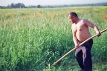 Заготівля сіна сіна