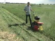 Заготівля сіна сіна