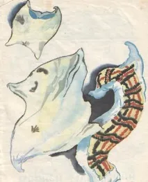 штани