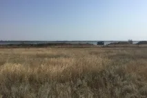 Житель міста Саки українці, прийшли та усі зіпсували! саки