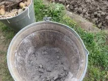 Зола як добриво – види, застосування та використання добриво