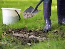 Зола як добриво – види, застосування та використання використання