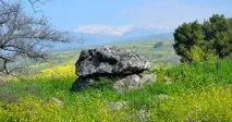 10 нещодавно виявлених археологічних таємниць таємниць