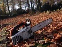 11 безглуздих смертей у людській історії безглуздих