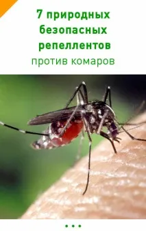 людини