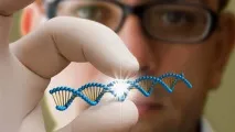 Аналіз ДНК, DNA SOLUTIONS – генетична лабораторія лабораторія