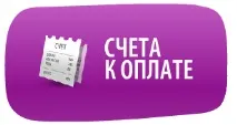 Виділений хостинг FLOPS Способи оплати хостинг