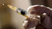 Ветеринарія - Клуб любителів маленьких собак любителів