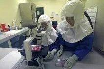 У чому полягає секрет високої продуктивності японських працівників - українська газета секрет