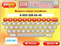 Виділений хостинг FLOPS Способи оплати виділений