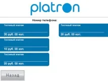 Виділений хостинг FLOPS Способи оплати виділений