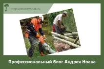 Бамбукові підлоги дерево і бетон відпочивають бамбукові