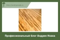 Бамбукові підлоги дерево і бетон відпочивають дерево