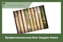 Бамбукові підлоги дерево і бетон відпочивають бамбукові