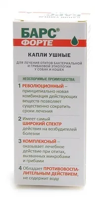 котів
