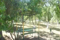 База відпочинку - Волзькі зорі - «Самарське бюро туризму» волзькі