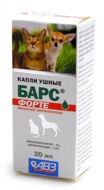 форте