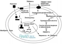 механізм