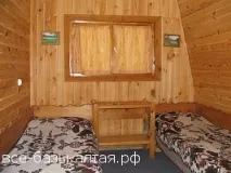 Фотографії: дерев