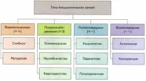 Біотичні зв’язки, Біологія біотичні