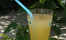 Квас із ягід, листя та гілок винограду ягід