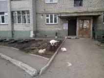 середня